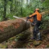 STIHL MS 881 MOTORSAG 90 CM/36" - Bilde 5