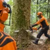 STIHL MS 881 MOTORSAG 90 CM/36" - Bilde 3