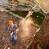 STIHL HTA 50 GRENSAG ENHET - Bilde 3