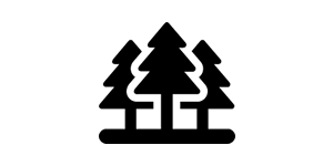 Skog
