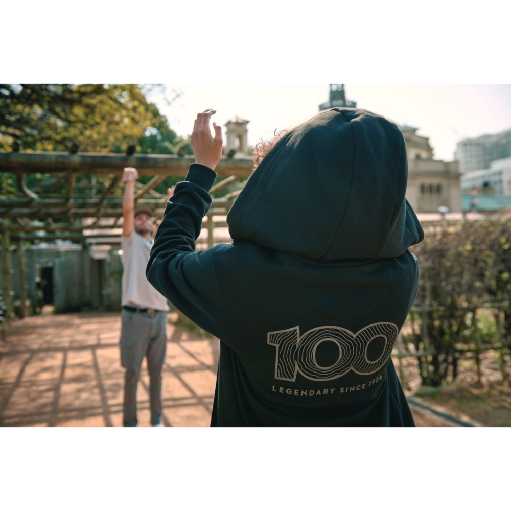 STIHL 100 HETTEJAKKE REFLEKT - Bilde 5