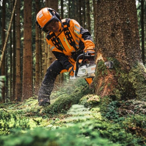 STIHL-MS-300-35cm-1000×1000 (3)