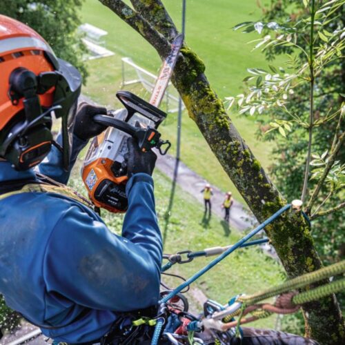 STIHL MSA 240.0 TC-O MOTORSAG