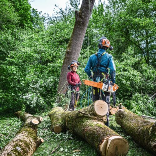 STIHL MSA 240.0 TC-O MOTORSAG