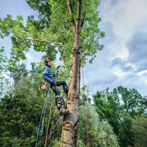 STIHL MSA 240.0 TC-O MOTORSAG