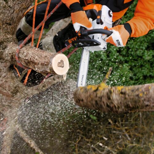 STIHL MS 201 TC-M MOTORSAG