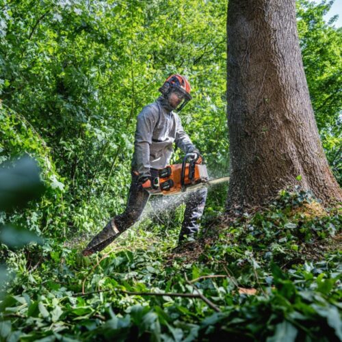 STIHL MSA 600 C-O BW MOTORSAG