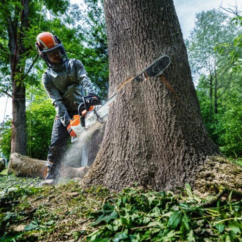 STIHL MSA 600 C-O BW MOTORSAG