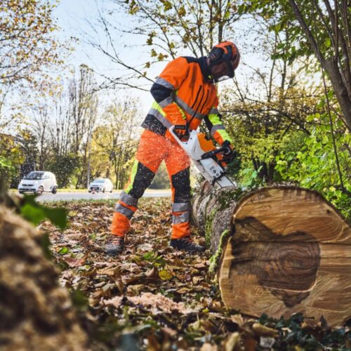 STIHL MSA 600 C-O BW MOTORSAG